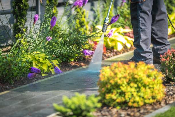 Best Winterizing Services  in Hornell, NY